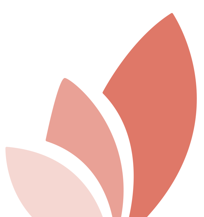 Kit Consulting con STP Projects Kit Consulting con STP Projects
